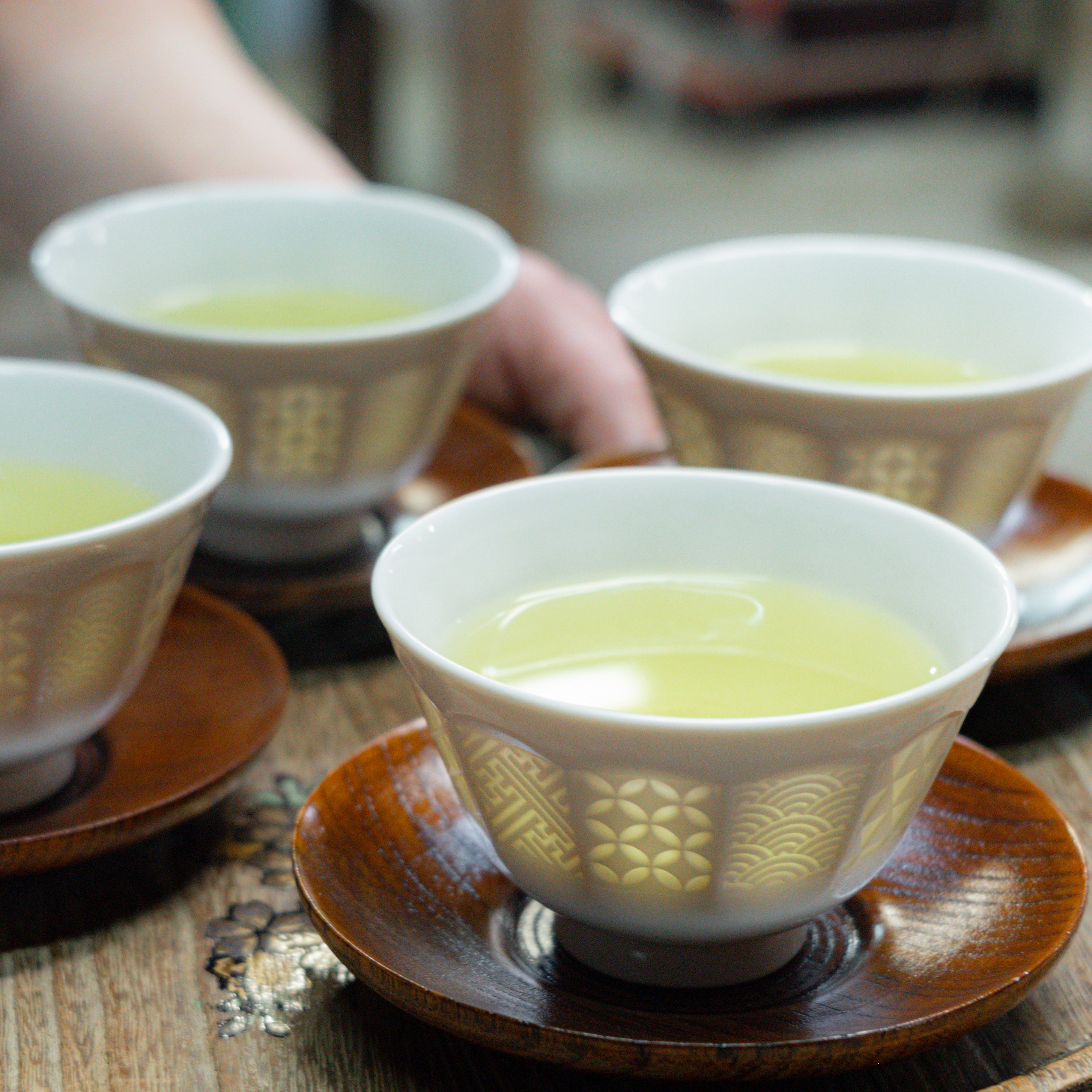 AKARI Sencha